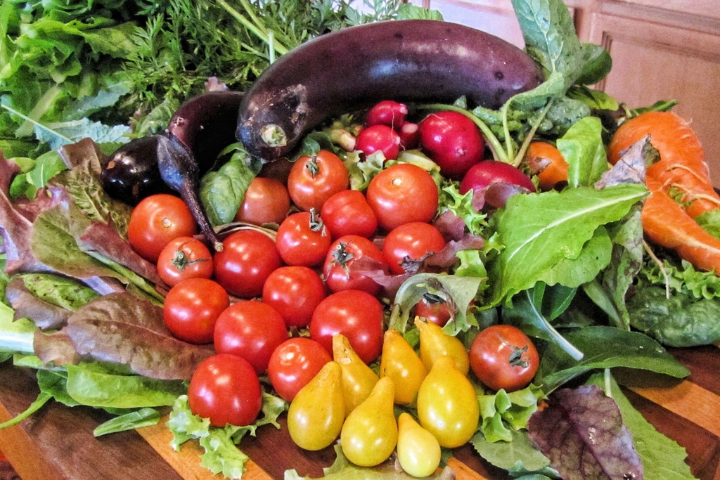 Nutrition et longévité : la fin de la détox, le début du métabolisme